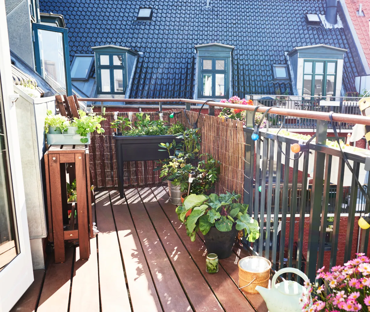 5 Pflanzen für Terrassen und Balkone, die du 2024 sehen wirst